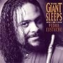 The Giant Sleeps