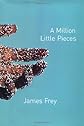 A Million Little Pieces