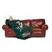 Miami Dolphins NFL Adult 