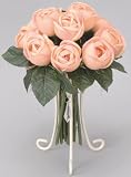 ���G�}�A�[�g�t�����[�@�s�[�`���[�Y�X�^���h�`�Q�Q�P�R�|�R�T�@