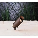 50W Outdoor Accent Spot Light in Bronzed Brass - Pack of OneTwo