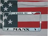 CHROME LASER ENGRAVED LICENSE PLATE FRAME MANX