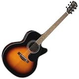 Farida R-21CE Electro-Acoustic Grand Auditorium Sunburst with Hard Case