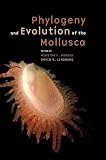 Phylogeny and Evolution of the Mollusca