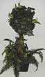 33" Ivy & Fern Tropical Topiary