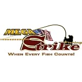 Bass Fishing Forum