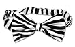 ZEBRA Animal Skin Print SILK BOW TIE Men's BOWTIE NEW