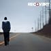 Love The Way You Lie by Eminem