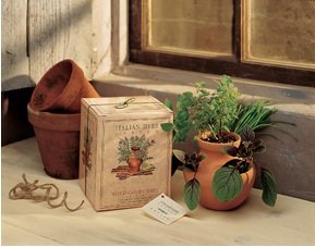 Grow Your Own Italian Herb Garden Kit