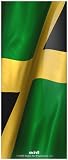 Skinit Protective Skin for iPod 4G (Jamaica)