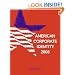 American Corporate Identity 2008