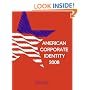 American Corporate Identity 2008