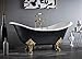 Cheviot REGENCY Cast Iron Bathtub with Lion Feet and Faucet Holes | Clawfoot Bathtub | Cast Iron | White Interior with Custom Colour Exterior | Brushed Nickel Feet Finish