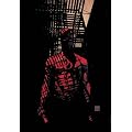 Daredevil, Vol. 9: King Of Hell's Kitchen