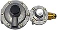 Mr. Heater F273863 Propane Two Stage Regulator