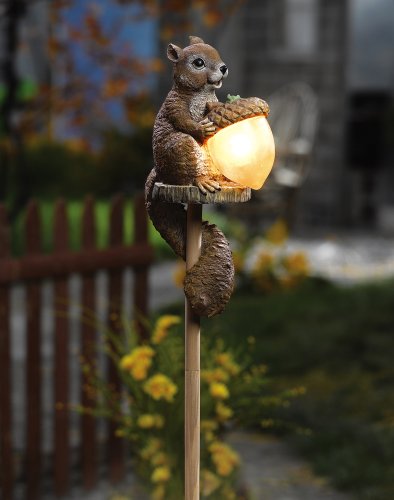 Sammy Squirrel Solar Outdoor Light by Collections Etc