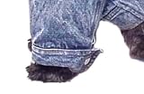 Stone Washed Denim Jean Dog Jacket Coat Size Small