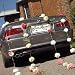  Just Married  License Plates