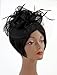 NYfashion101(TM) Cocktail Fashion Sinamay Fascinator Hat Flower Design & Net S102651