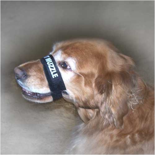 Adjustable Comfort Muzzle - 3/4 x 12-18