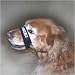 Adjustable Comfort Muzzle - 3/4 x 12-18