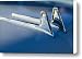 1957 Cadillac Hood Ornament Canvas Print / Canvas Art - Artist Jill Reger 1957 Cadillac Hood Ornament Canvas Print / Canvas Art - Artist Jill Reger