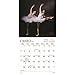 2017 Ballet Mini Calendar 7