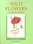 Wild Flowers in Cross Stitch