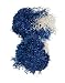 Dallas Cowboys Cheerleaders Deluxe Shakers Adult