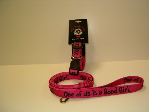 Nylon Dog Leash and Collar Set