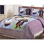 Pirates Cove  Full   Queen Quilt with 2 Shams