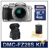 Panasonic Lumix DMC-FZ28S (Silver) Best-Selling Super-Savings Bundle