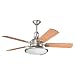 All Products : 300020AP - Kichler Lighting - Kittery Point - 52 Ceiling Fan - Kittery Point
