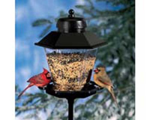 Coach Lamp Bird Feeder (Seed Feeders)