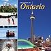Book Treasures of Ontario (Treasure Series)