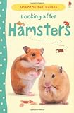 Looking after hamsters
