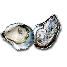 Kumomoto Oysters - 5 Dozen per Box - 24 Hour Notice - 7 Lb Avg