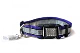 Illumidog Reflective Dog Collar / X-Light Combo: Purple / Large (18-26 inches)