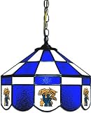 NCAA Kentucky Wildcats 14 Tiffany Style Executive Hanging Lamp