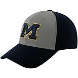 Top of the World Michigan Wolverines Two Tone Brushback 1Fit Hat