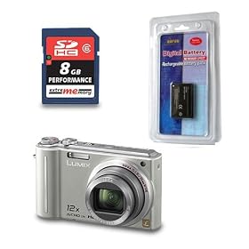 Panasonic Lumix DMC-TZ7 Silver Bundle with Carat 567 Li-Io Rechargeable Battery and ExtreMemory SDHC Card Performance 4GB Class 6!!