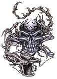 Top Heavy - Skull and Dragon - Sticker/Decal