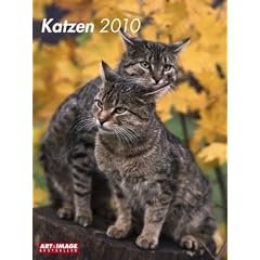 Katzen 2010. Posterkalender: 16-Monats-Kalender