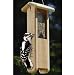 Birds Choice Woodpecker Feeder with Hanging Cable