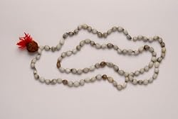 Brings Joy - Vaijanti (Job's Tears) Full Mala Rosary Yoga Japa Mala Original Vaijanti Seeds 108+ 1 Rudraksha Guru Bead