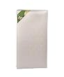 Sealy Soybean Plush Foam Crib Mattress