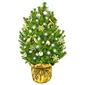 Gold Christmas Tree with Lights