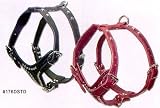 Adjustable Studded 2-ply Latigo Harness