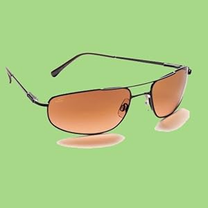 Serengeti Velocity Drivers Gradient Sunglasses (Aviator)
