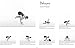 Art of Sequencing - Asana Modifications - Volume 3